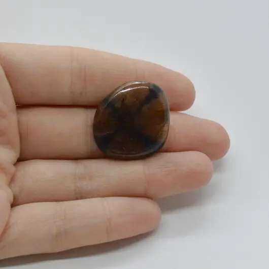 Cabochon Kiastolit 27x24x6mm C16