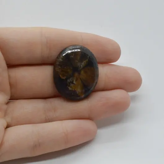 Cabochon Kiastolit 28x23x6mm C44