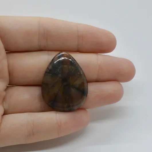 Cabochon Kiastolit 31x24x6mm C28