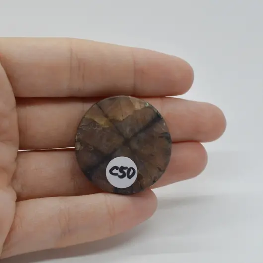 Cabochon Kiastolit 31x31x7mm C50, imagine 2