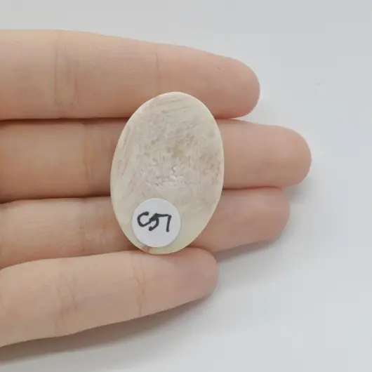 Cabochon Scolecit 33x23x7mm C51, imagine 2