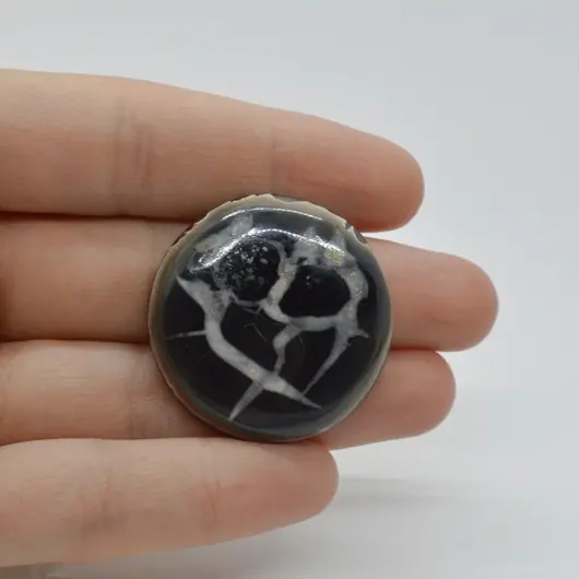 Cabochon Septaria Negru 33x33x7mm C51