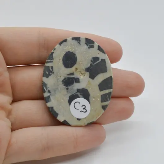 Cabochon Septaria Negru 44x34x4mm C3, imagine 2