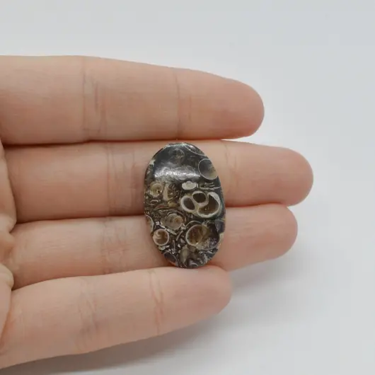 Cabochon Agat Turitela 27x17x5mm C66