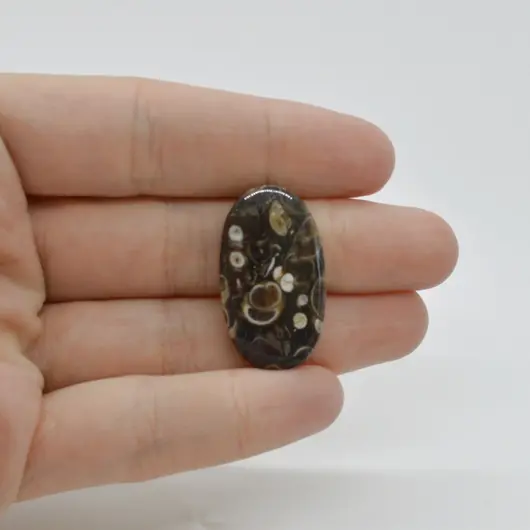 Cabochon Agat Turitela 29x17x5mm C20