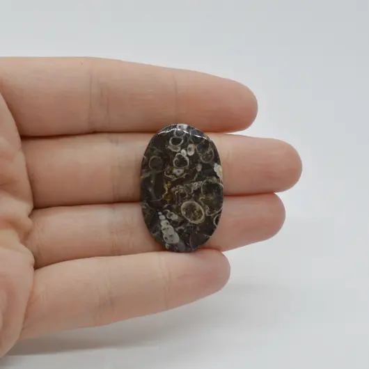 Cabochon Agat Turitela 30x20x4mm C51
