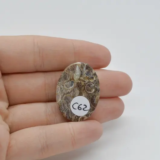 Cabochon Agat Turitela 30x22x6mm C62, imagine 2