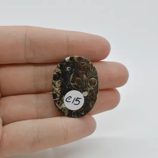 Cabochon Agat Turitela 31x23x6mm C15, imagine 2