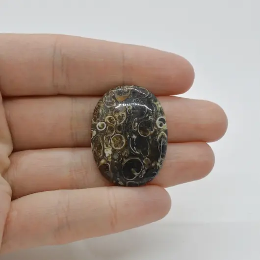 Cabochon Agat Turitela 31x23x6mm C15