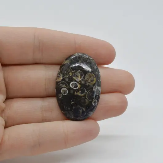 Cabochon Agat Turitela 34x23x6mm C35