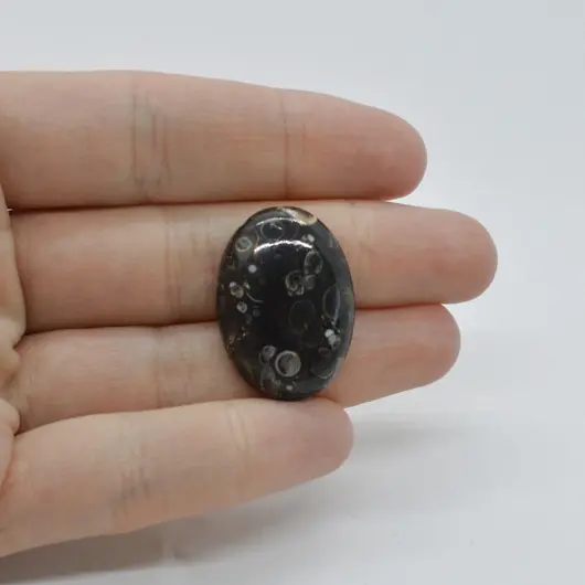 Cabochon Agat Turitela 37x19x6mm C6