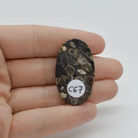 Cabochon Agat Turitela 37x22x6mm C67, imagine 2
