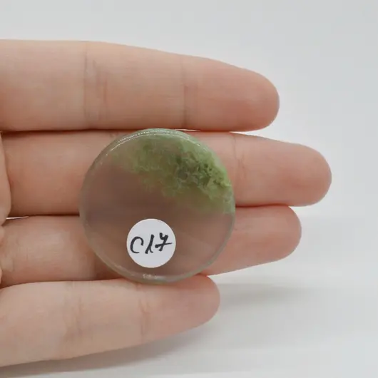 Cabochon Agat Moss Indonezia 32x32x6mm C17, imagine 2