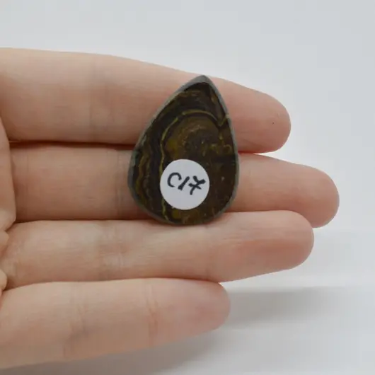 Cabochon Stromatolit 31x23x6mm C17, imagine 2