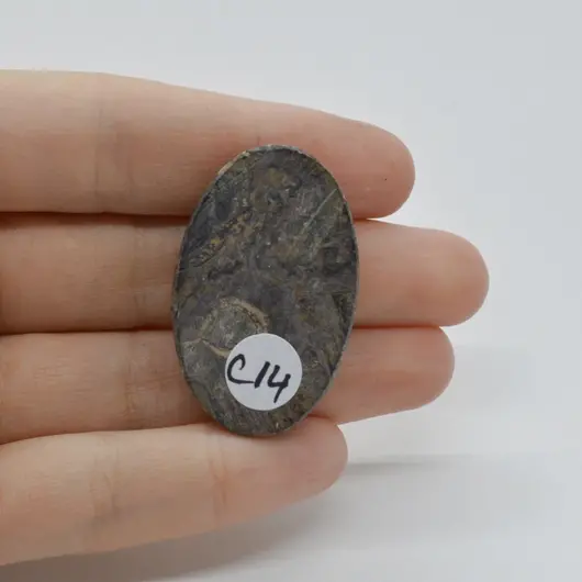 Cabochon Stromatolit 38x24x6mm C14, imagine 2