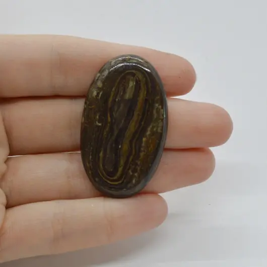 Cabochon Stromatolit 43x26x6mm C28