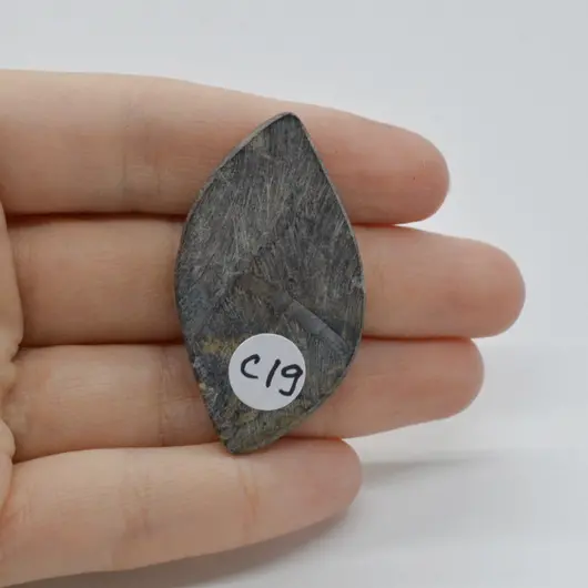 Cabochon Stromatolit 45x25x6mm C19, imagine 2