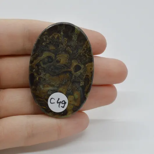 Cabochon Stromatolit 49x32x6mm C49, imagine 2