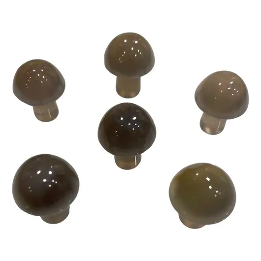 Ciuperca Agat gri 20mm, imagine 2
