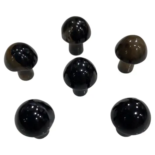 Ciuperca Agat negru 20mm, imagine 2