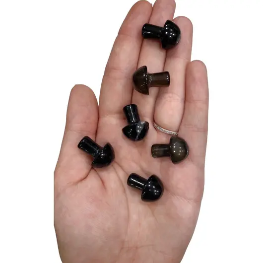 Ciuperca Agat negru 20mm