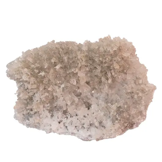 Floare de mina pentru colectie, unicat - C578 (Lot 1)