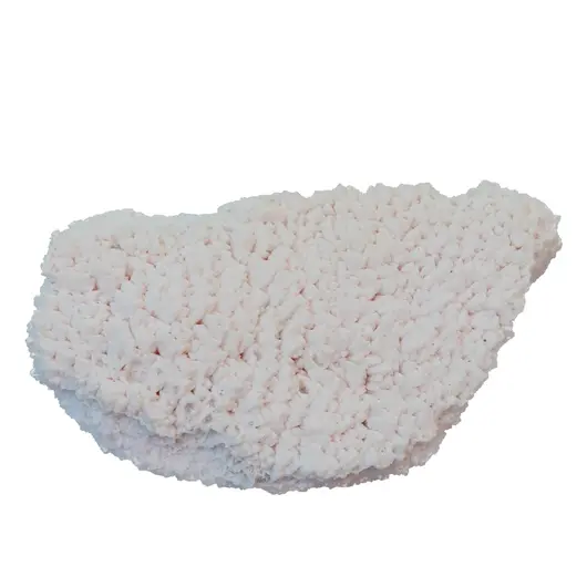 Floare de mina pentru colectie, unicat - C618 (Lot 1)