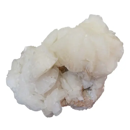 Floare de mina pentru colectie, unicat - C656 (Lot 1)