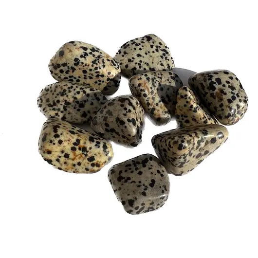 Jasp dalmatian rulat 2,5-3,5cm