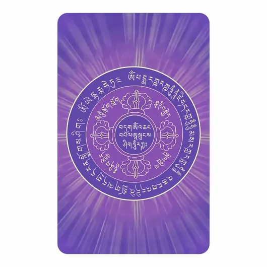 Card cu amuleta FORTA VIETII sau FORTA VITALA 2023, imagine 3
