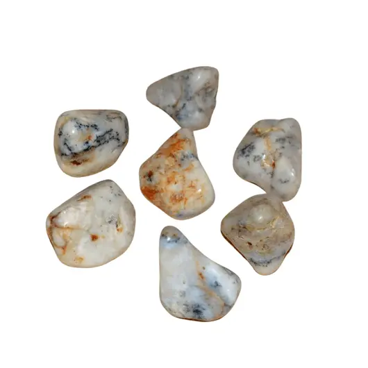 Agat dendritic rulat 25-30mm