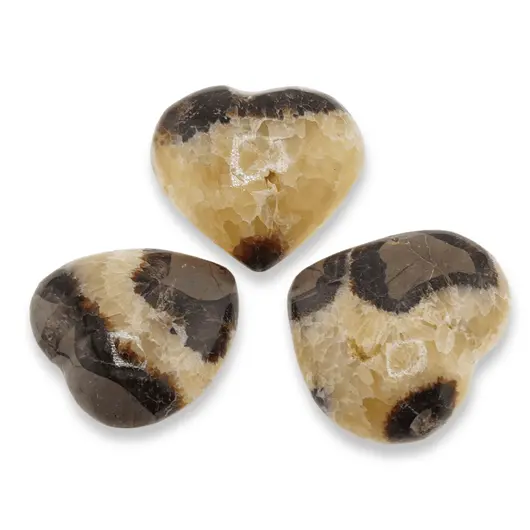 Inima mica Septaria, 20-30g
