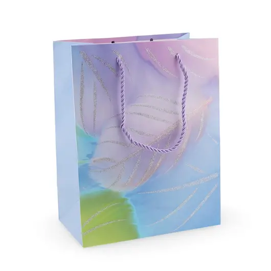 Punga pentru cadou diverse modele, 23x18cm, imagine 3