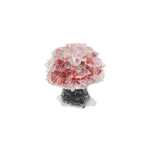 Copac din rasina cu spartura Coral rosu, 5cm