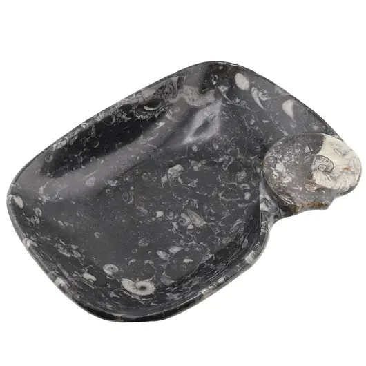 Tava slefuita din mix fosile mare - 25cm x 18cm