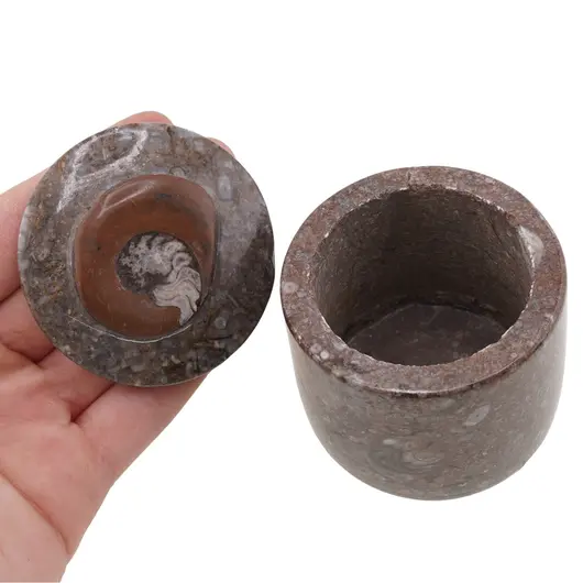 Vas slefuit din mix fosile cilindric mic - 6cm, imagine 4