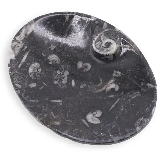 Vas slefuit din mix fosile oval, 12-12,5cm, imagine 2