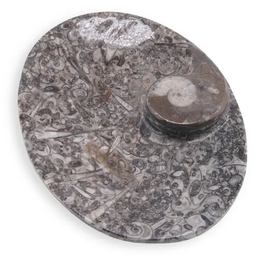 Vas slefuit din mix fosile oval, 12-12,5cm, imagine 3