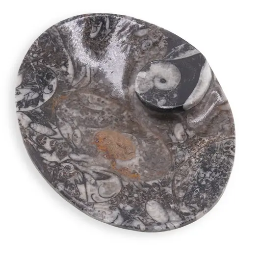 Vas slefuit din mix fosile oval, 12-12,5cm, imagine 4