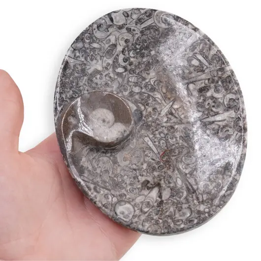 Vas slefuit din mix fosile oval, 12-12,5cm, imagine 6
