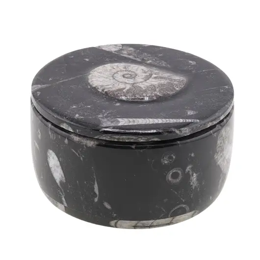 Vas slefuit din mix fosile rotund mare - 10,5cm, imagine 2