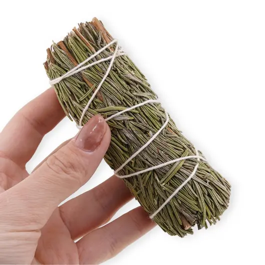 Buchet rozmarin (Rosemary) 12cm, imagine 3