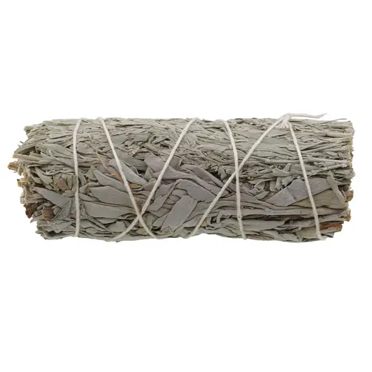 Buchet Salvie Alba cu Salvie albastra - 10cm, imagine 2