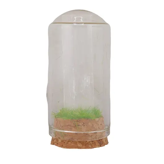 Cupola cu cristal natural Selenit brut, 65mm, imagine 2