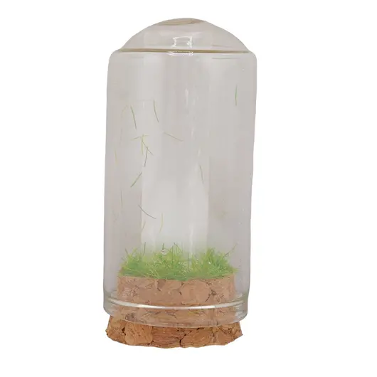 Cupola cu cristal natural Selenit brut, 65mm, imagine 3