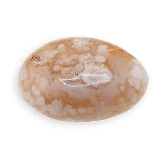 Palm Stone Agat Flower C98, 96g