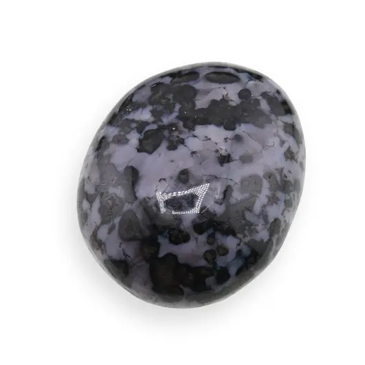 Palm Stone Merlinit C132, 74g