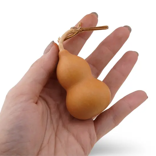 Tigva / Wu lou natural 5-6cm, imagine 4