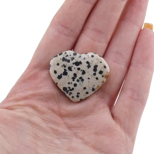 Inima rulata Jasp dalmatian, 30-40mm, imagine 3