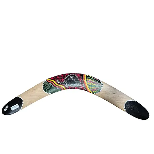 Boomerang mare din lemn model testoasa